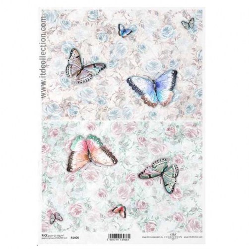 Butterflies-flowers